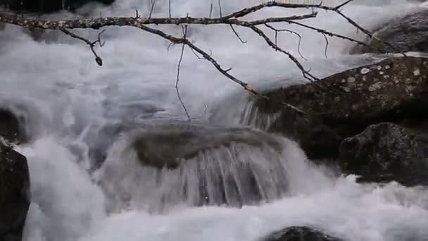 Un grande flusso d'acqua sul fiume — Video Stock