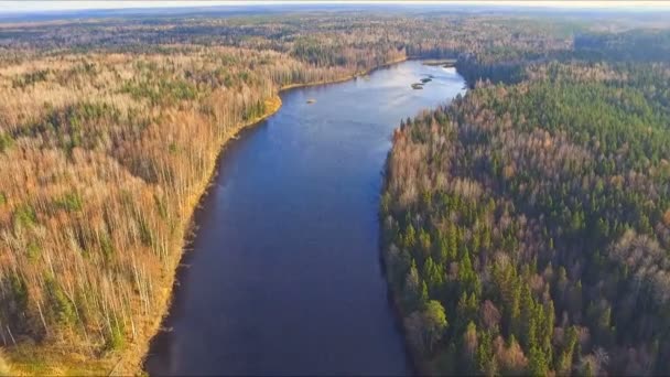 Opptak fra luften flyr over elven – stockvideo