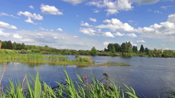 Das natürliche Gebiet des Flusses mit der Reflexion der Wolken im Wasser — Stockvideo