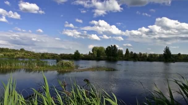 Panorama z brzegu rzeki. Śpiew Słowika — Wideo stockowe