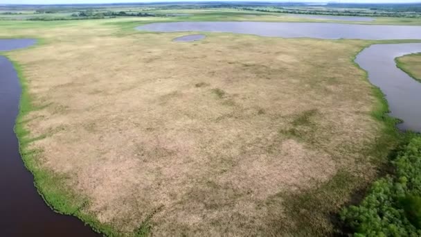 Vista aérea do campo e do lago — Vídeo de Stock