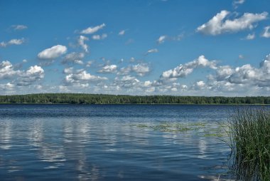 Gölde güneşli bir gün