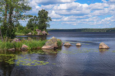 Doğa arka plan nehir Bay ağaçlar ve suda taş kayalar asma