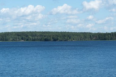 Fırtına bulutları ile Orman Gölü. Doğal peyzaj