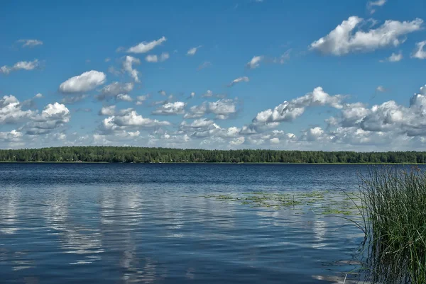 Gölde güneşli bir gün