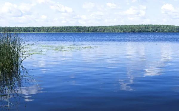 Nehir yaz manzarası. Doğa arka plan nehir Bay