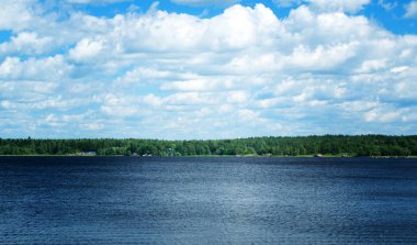 Göl manzara. Beyaz bulutlar ve gölde creepers