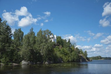 Taşlar ve bir orman orman göl kenarında bir koy