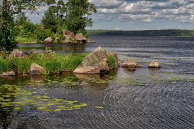 Nehir yaz manzarası. Doğa arka plan nehir Bay