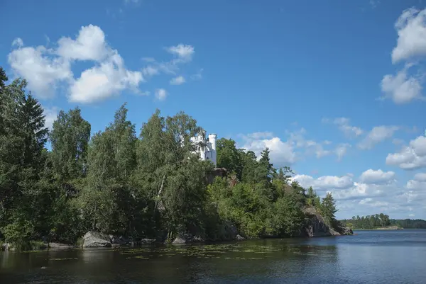 Taşlar ve bir orman orman göl kenarında bir koy