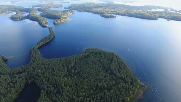 Meren en bos uitzicht vanaf een hoogte van vlucht — Stockvideo