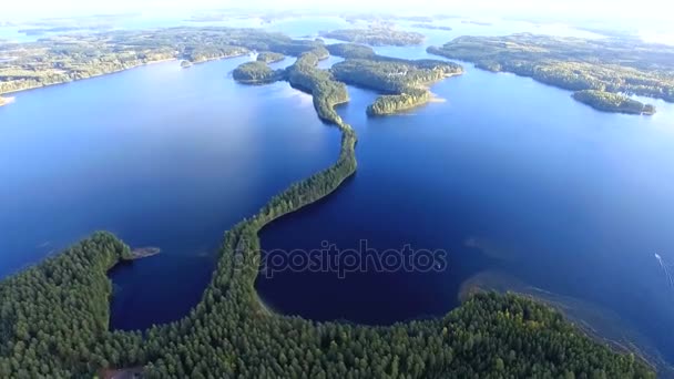森と湖の上飛行 — ストック動画