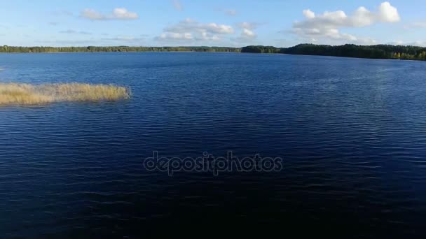 Volo sulla superficie del lago — Video Stock