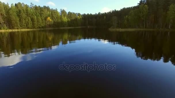 Volo sulla superficie del lago — Video Stock