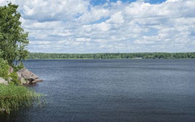 Doğa arka plan nehir Bay ağaçlar ve suda taş kayalar asma