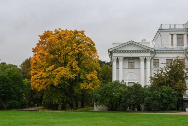 Parkta eski bir binaya karşı sarı ağaç