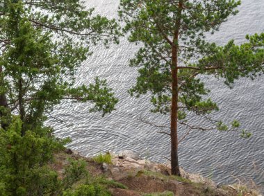 Nehir ve mavi gökyüzü ile yaz manzarası