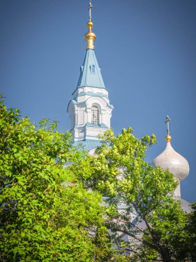 Spaso-Preobrazhensky Katedrali, ağacın taç tarafından çevrili.
