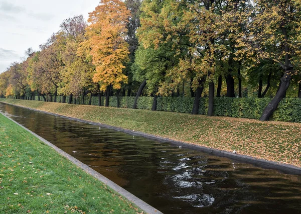 Canal através de uma floresta em um dia de outono ensolarado — Fotografia de Stock