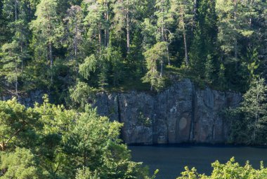 Orman sınıra yaklaşıyor..