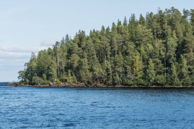 Cape deniz yeşil orman standları ile kaplı