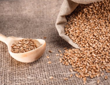 Buğday tahıl bir çanta ve bir tahta kaşık