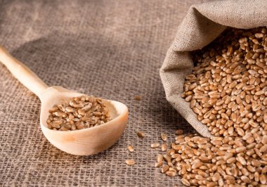 Buğday tahıl bir çanta ve bir tahta kaşık