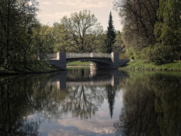 Кам'яний міст над річкою в парку — стокове фото