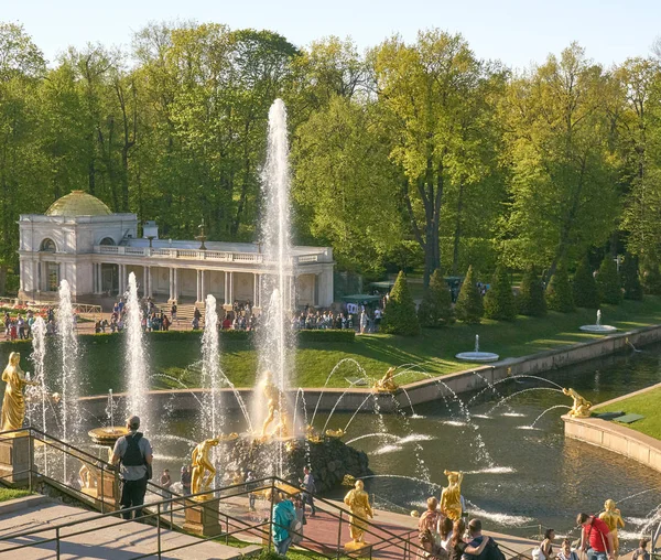 Gran Cascada de Palacio Peterhof y Parque Inferior —  Fotos de Stock