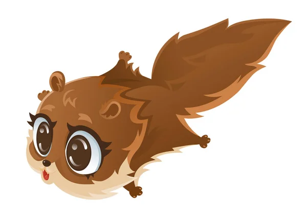 Uçan sincap, Çizgi film vektör çizimi.