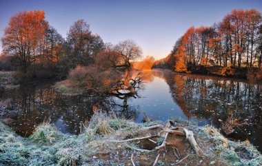 Belarus.Panoramic sayısı nehir ve yalnız bir nehirde ile soğuk sonbahar sabahı meşe sararmış. Güneşin ilk ışınları soğuk sonbahar ağaçlar aydınlatmak. Parlak sabah güneş ağaçların aydınlatmak. 