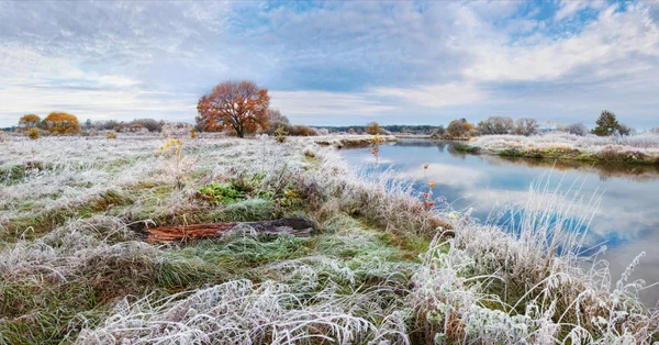 Serin sonbahar sabahı Beyaz Rusya. Çimenlerin üzerinde nehir ve frost sararmış yapraklarla doğal sonbahar manzara meşe grove. Panoramik nehir ve yalnız sararmış meşe