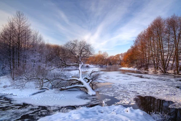 Eine wunderschöne europäische Winterlandschaft mit einem gefrorenen Fluss, einem bewölkten Himmel und einem einsam umgestürzten Baum. Einsam umgestürzter Baum auf dem Hintergrund des gefrorenen, vereisten Flusses bei Sonnenuntergang. Weißrussland, Europa — Stockfoto