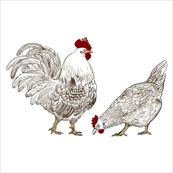 Decorative vector image of a rooster  and a hen. Brown pattern on a white background. — Stock Vector