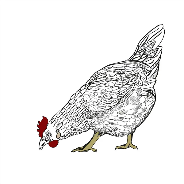 Decorative vector image of a hen. — Stockový vektor