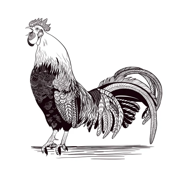 Vector chicken breeding hand drawn set. Engraved  Roster illustrations. Rural natural bird farming. Poultry business. — Stockový vektor