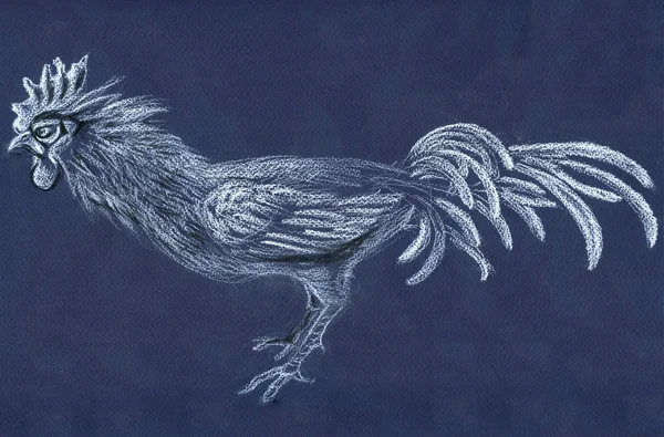 Rooster - pastel drawing, poster, wallpaper. — Stock Photo, Image