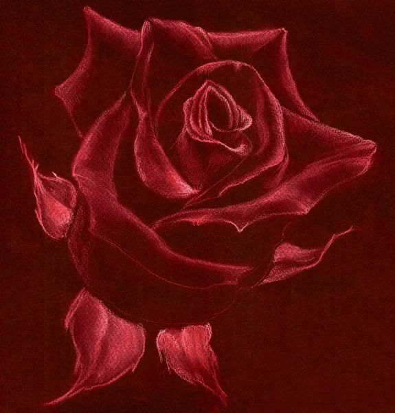 Rose - pastel drawing. Use printed materials, signs, items, websites, maps, posters, postcards, packaging. — Stockfoto