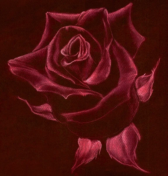 Rose - pastel drawing. Use printed materials, signs, items, websites, maps, posters, postcards, packaging. — ストック写真