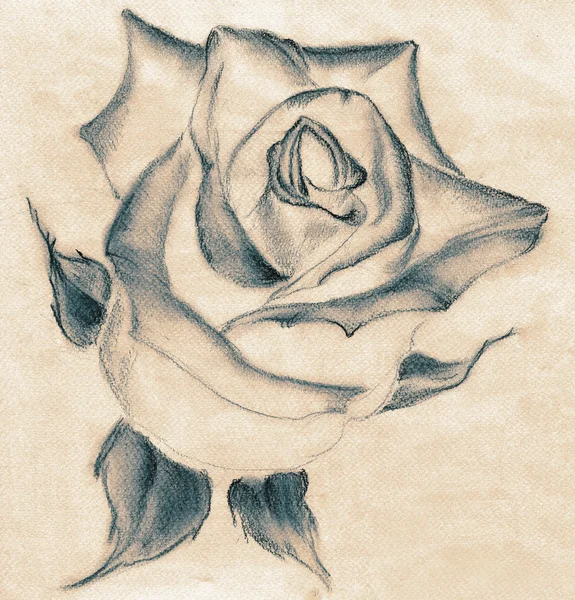 Rose - pastel drawing. Use printed materials, signs, items, websites, maps, posters, postcards, packaging. — Stockfoto