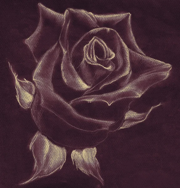 Rose - dessin pastel. Utiliser du matériel imprimé, des panneaux, des articles, des sites Web, des cartes, des affiches, des cartes postales, des emballages . — Photo