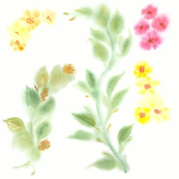 Zweige von Blättern und Blumen - Aquarellmalerei. — Stockfoto