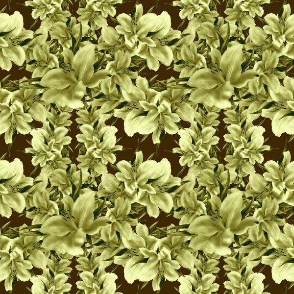 Flores de lirio - fondo de pantalla. Patrón sin costura . —  Fotos de Stock