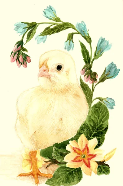 Hühner und Frühlingsblumen - Postkarte an den Ostertag. Aquarell. — Stockfoto