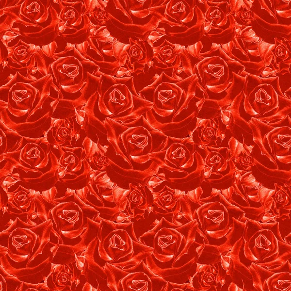 Colagem de flores rosas. Papel de parede sem costura . — Fotografia de Stock