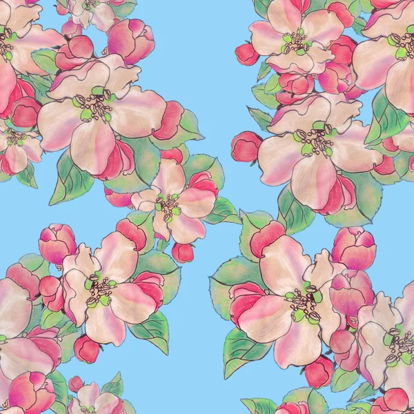 Бесшовная иллюстрация. Цветы яблони . — стоковое фото