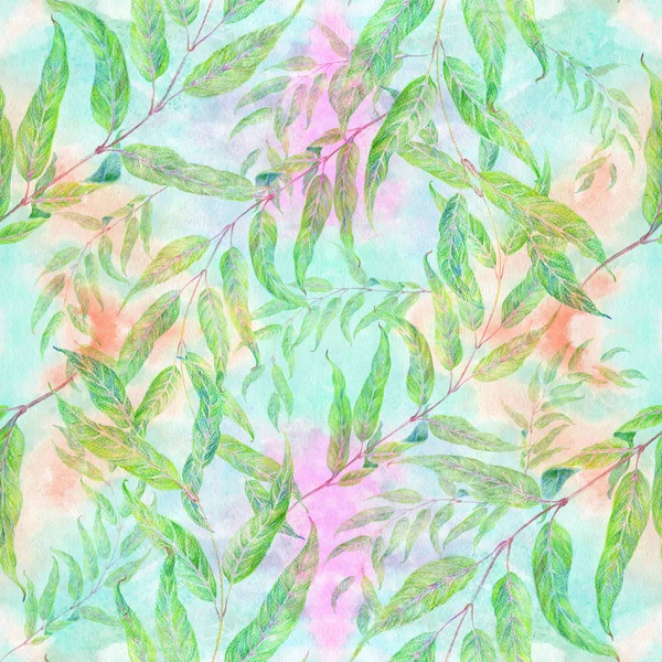 Branche avec feuilles - dessin avec crayons de couleur. Eucalyptus. Des pleurs de saule. Modèle sans couture . — Photo