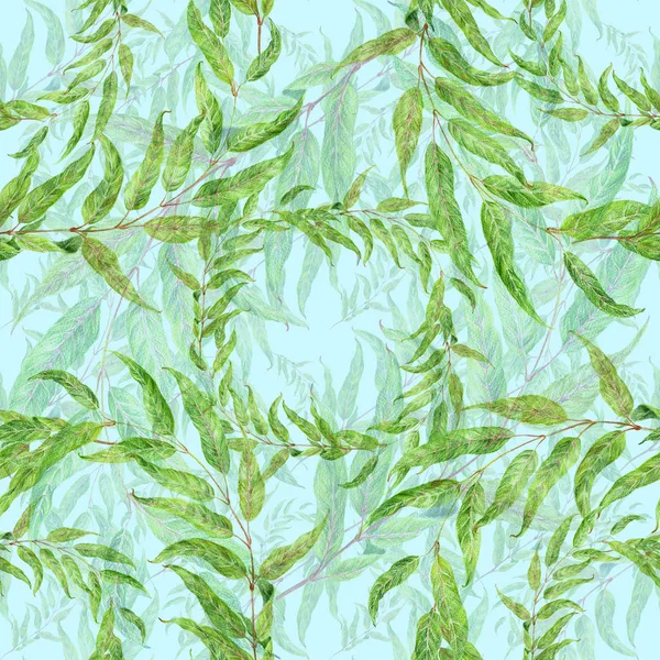 Zweig mit Blättern - Zeichnung mit Buntstiften. Eukalyptus. Trauerweide. nahtloses Muster. Zweig mit Blättern - Zeichnung mit Buntstiften. Eukalyptus. Trauerweide. nahtloses Muster. — Stockfoto