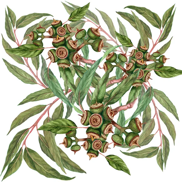 Bladen och frukterna av eukalyptus. Seamless mönster. — Stockfoto