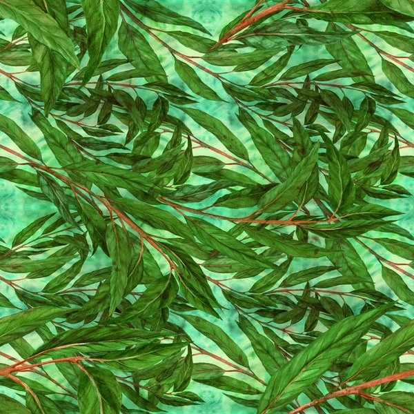 Blätter von Eukalyptus. nahtloses Muster. Aquarell. — Stockfoto